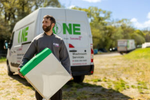 sanaway-one-anniversary